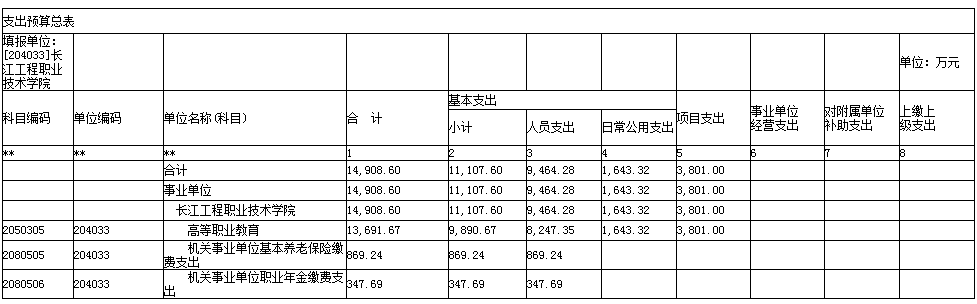 支出预算总表.png